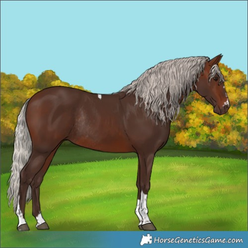 Horse Color:Silver Brown Tobiano Rabicano 