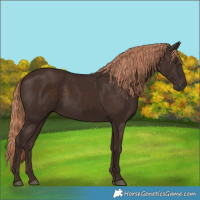 Horse Color:Liver Chestnut 