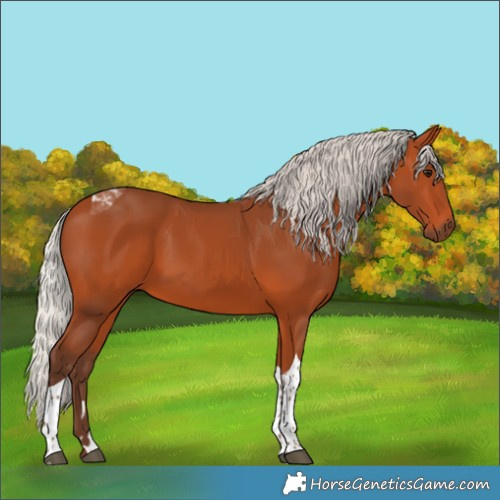 Horse Color:Silver Bay Tobiano 