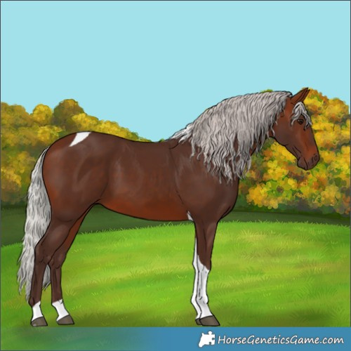 Horse Color:Silver Brown Tobiano 