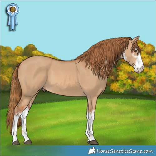 Horse Color:White Spotted Red Dun 