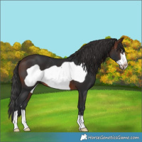 Horse Color:Brown Frame 