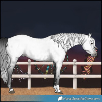 Horse Color:Gray Brown Near Leopard 