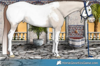 Horse Color:Sable Champagne Dun Splash Snowcap 