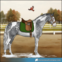 Horse Color:White Spotted Silver Black Chinchilla Tobiano Rabicano 