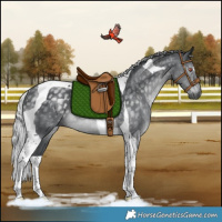Horse Color:Silver Black Chinchilla Tobiano Rabicano 