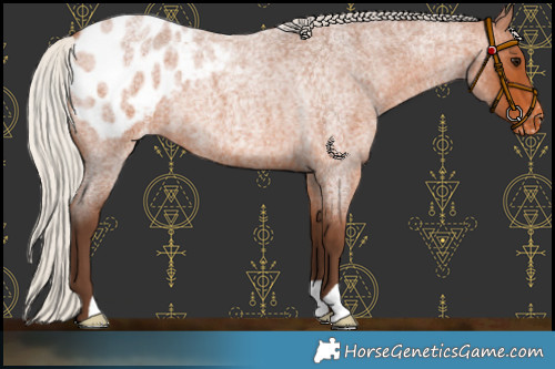 Horse Color:Silver Bay Roan Blanket 