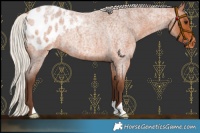 Horse Color:Silver Bay Roan Blanket