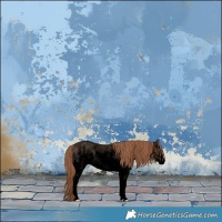 Horse Color:Void White Spotted Liver Red Dun Sabino Rabicano