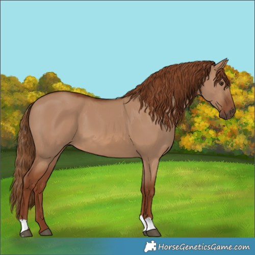 Horse Color:Red Dun