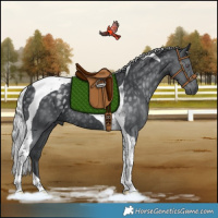 Horse Color:Silver Black Chinchilla Tobiano Rabicano 