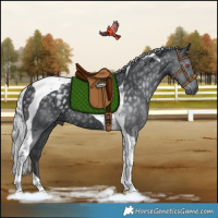 Horse Color:Silver Black Chinchilla Tobiano Rabicano 