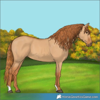 Horse Color:Red Dun
