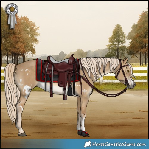 Horse Color:White Spotted Chocolate Palomino Dun Mushroom Sabino Rabicano 