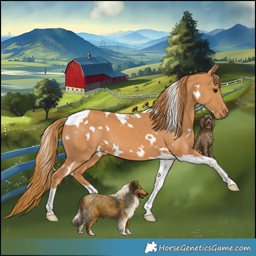 Horse Color:White Spotted Chestnut Tobiano 
