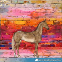 Horse Color:Chocolate Palomino Dun Rabicano Brindle 
