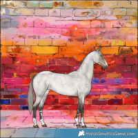 Horse Color:Silver Smoky Grullo Roan Rabicano 