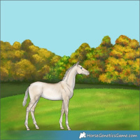Horse Color:Silver Smoky Grullo Pearl