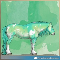 Horse Color:Watercolor White Spotted Liver Red Onyx
