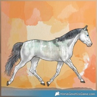 Horse Color:Painted Plaid  White Spotted Liver Red Dun Ice Splash Tobiano