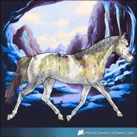 Horse Color:Plaid  White Spotted Liver Red Dun Onyx Tobiano Rabicano Brindle 