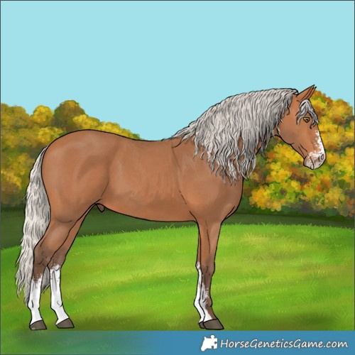 Horse Color:Unknown 