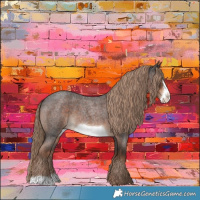 Horse Color:Liver Red Roan Frame 