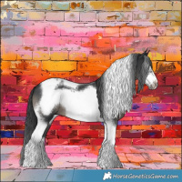 Horse Color:Black Tobiano Frame 