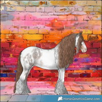 Horse Color:Liver Red Roan Tobiano Frame Appaloosa 