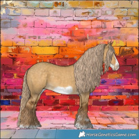 Horse Color:Chocolate Palomino Dun Frame