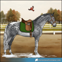 Horse Color:Silver Black Chinchilla Tobiano Rabicano