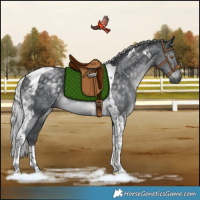 Horse Color:Silver Black Chinchilla Tobiano Rabicano