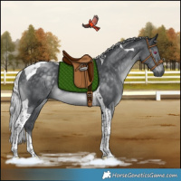 Horse Color:Silver Black Chinchilla Tobiano Rabicano