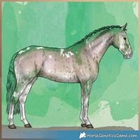 Horse Color:Watercolor White Spotted Liver Red Dun Onyx Brindle 