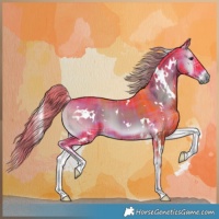 Horse Color:Watercolor Plaid White Spotted Liver Red Onyx