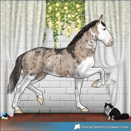 Horse Color:Liver Red Dun Sabino Splash Rabicano Brindle 