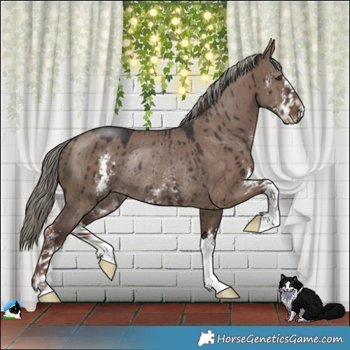 Horse Color:Liver Red Dun Mushroom Sabino Rabicano Brindle 