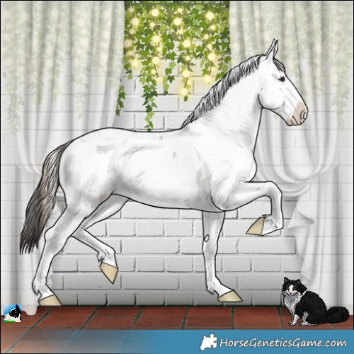 Horse Color:Liver Red Dun Onyx Sabino Brindle 