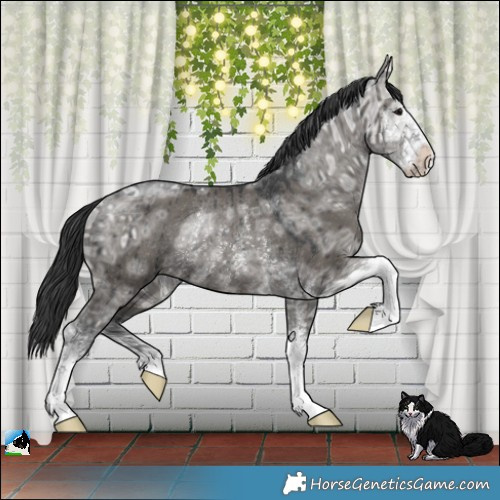 Horse Color:Grullo Ice Sabino Rabicano Brindle 