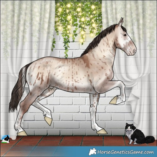 Horse Color:Classic Champagne Onyx Sabino Brindle 