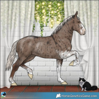 Horse Color:Liver Red Dun Mushroom Sabino Rabicano Brindle