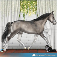 Horse Color:Grullo Onyx Mushroom Sabino Rabicano 