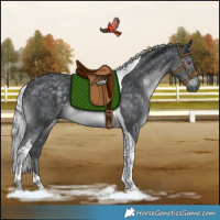 Horse Color:Silver Black Chinchilla Tobiano Rabicano 