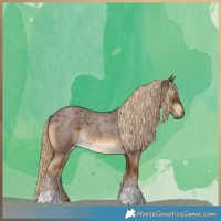 Horse Color:Chocolate Palomino Roan 