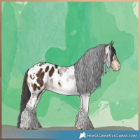 Horse Color:Liver Chestnut Tobiano Near Leopard 