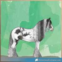 Horse Color:Smoky Black Tobiano Frame 