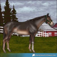 Horse Color:Liver Chestnut Tobiano Rabicano