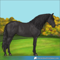Horse Color:Smoky Black 