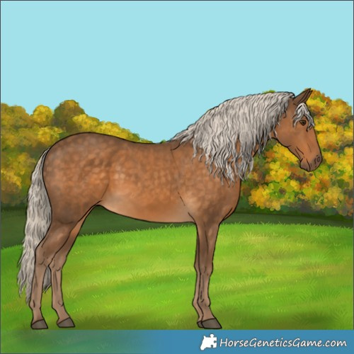 Horse Color:Chocolate Palomino 