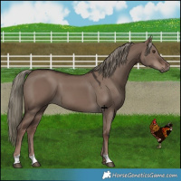 Horse Color:Liver Red Dun Mushroom 